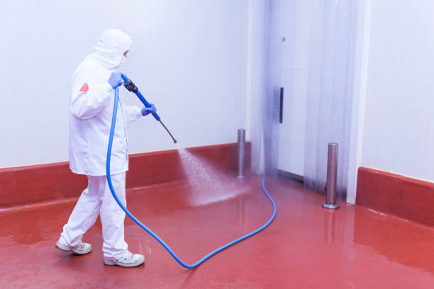 Best Spring Cleaning  in New Lebanon, OH